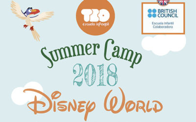 Summer Camp 2018 en TEO
